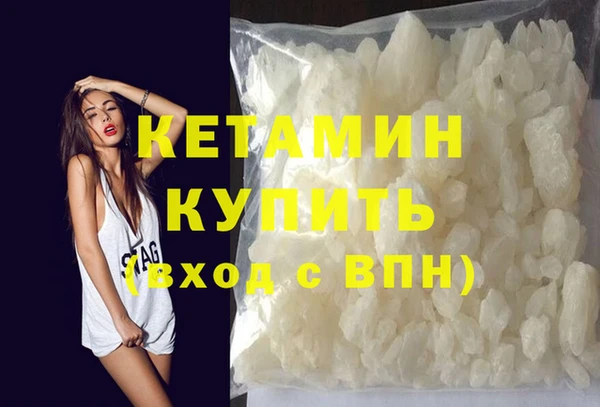 хмурый Аркадак