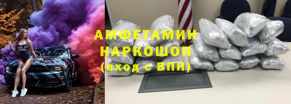 хмурый Аркадак