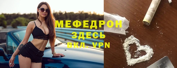 хмурый Аркадак