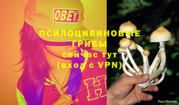 молекула духа Арсеньев