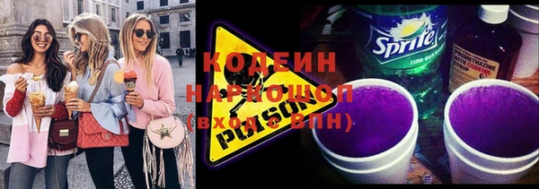 хмурый Аркадак