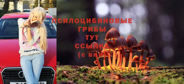 хмурый Аркадак