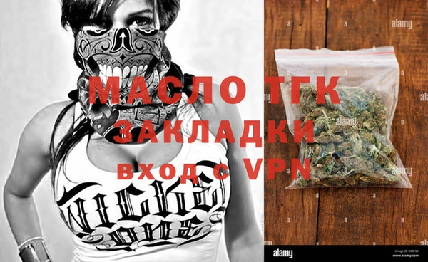 хмурый Аркадак