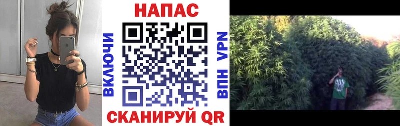 МАРИХУАНА LSD WEED  Купить закладки  Шарья 